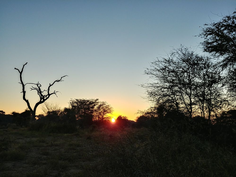 Sundown from Satara Restcamp