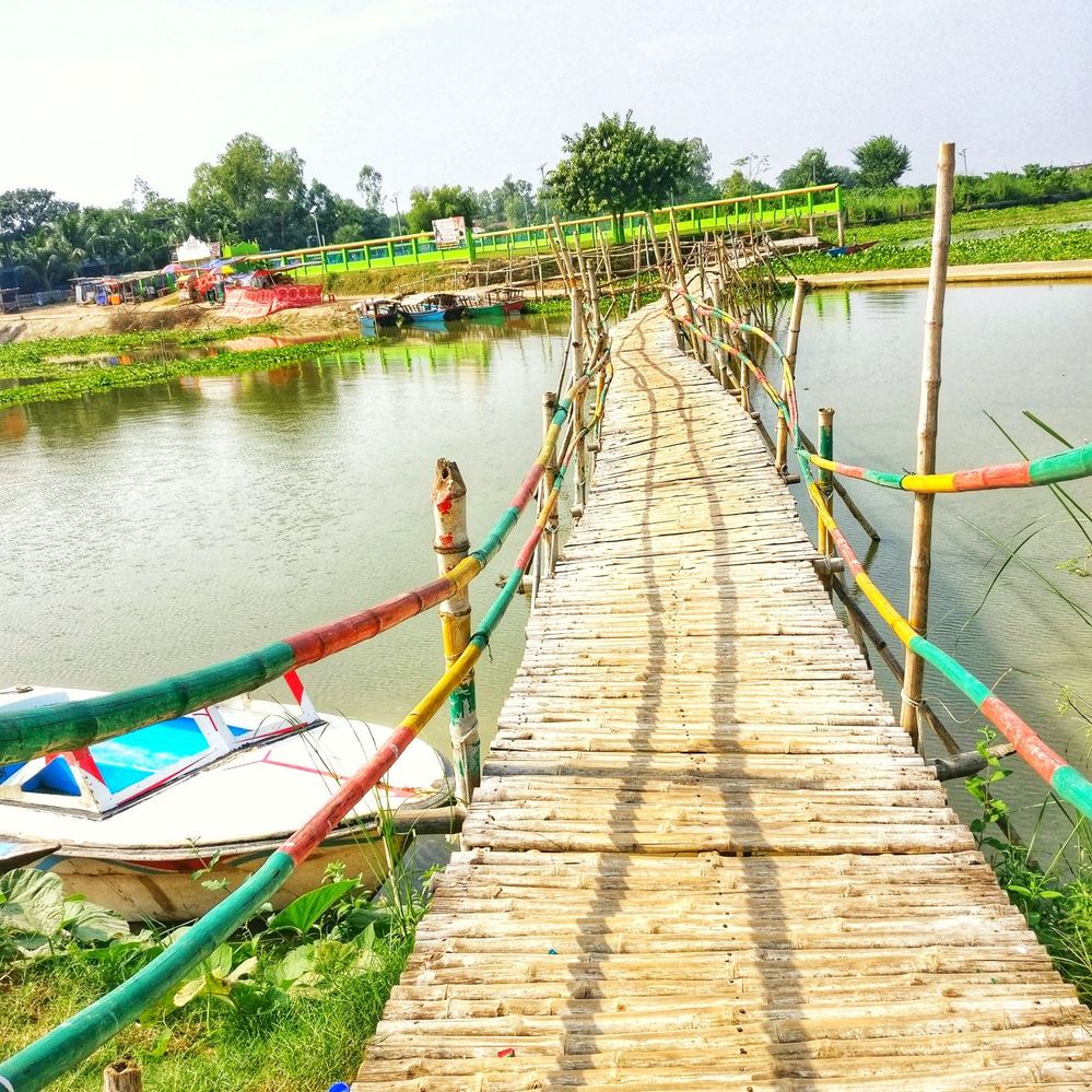 Caption: this Bridge for the movement of the village through the Chalan Beel Bogra.