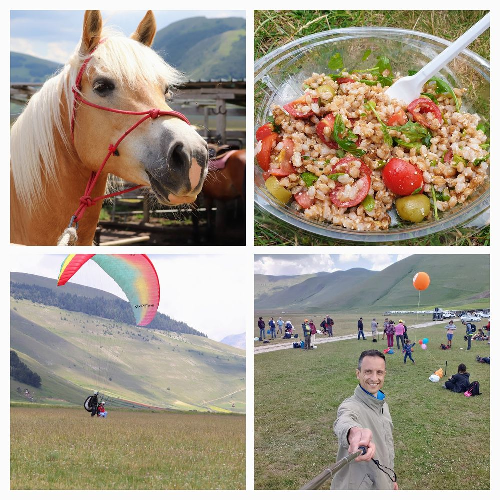 Collage of pictures showing picnic food, horses, hand gliders and a group selfie in the picnic area - Local guide @LuigiZ