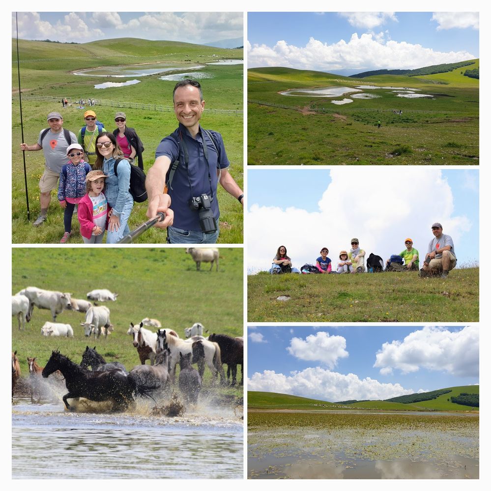 Collage of pictures showing the Pantani di Accumoli lakes, wild animals and two group photos, including a selfie - Local guide @LuigiZ